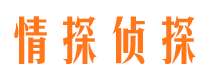 宝兴市调查取证